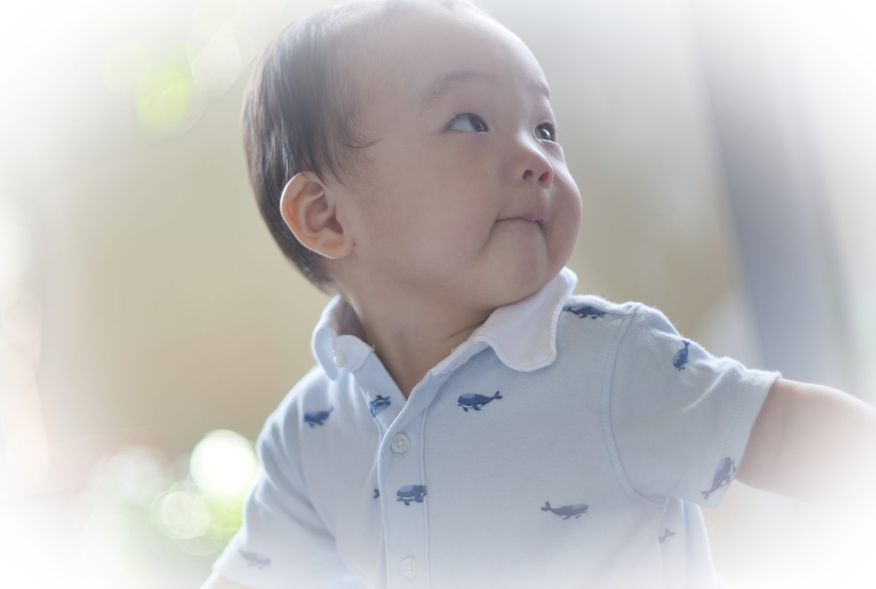 やわらかな光の中で上を見上げる赤ちゃん